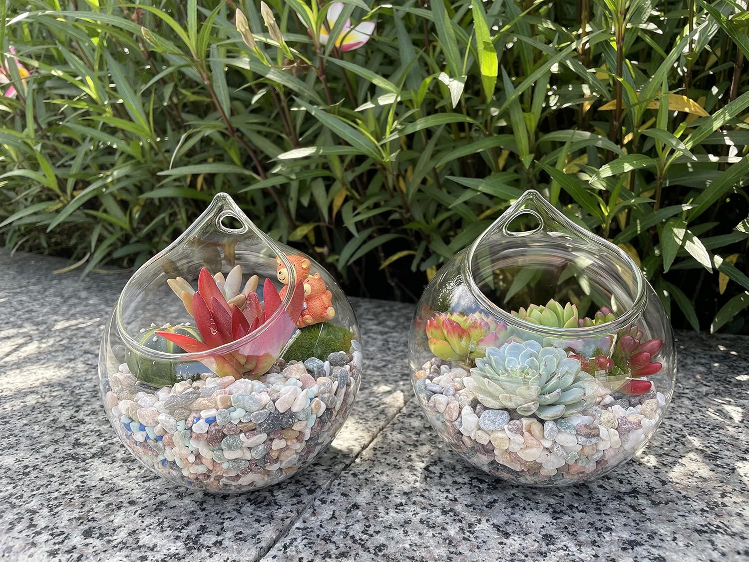 Ivolador Set of 2PCS 4.7 Inches Hanging Plants Glass Terrarium Container Air Plant Holder Succulents Globe Shape Home Garden Décor : Patio, Lawn & Garden
