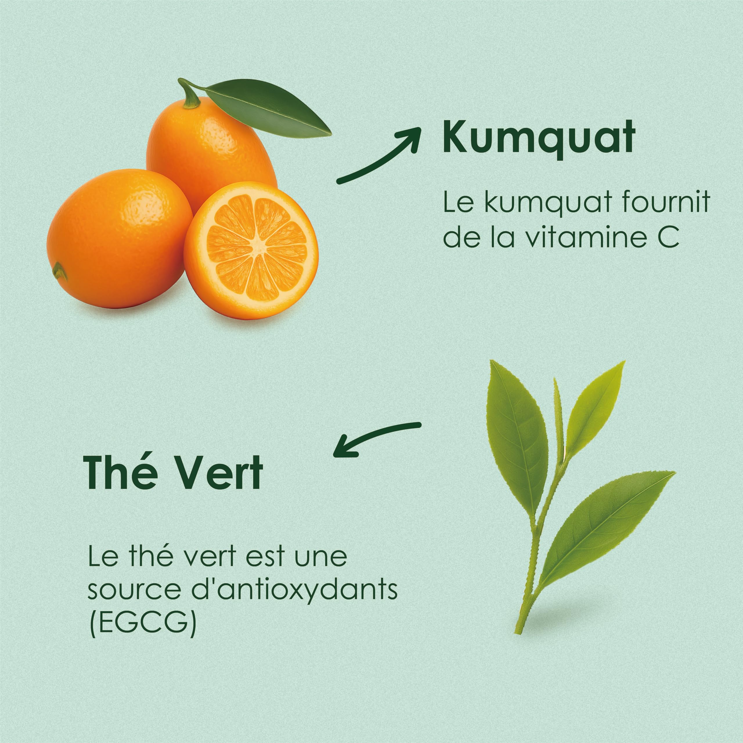 Yunnan Tuocha Zouji Kumquat Té Verde Orgánico 150 Bolsas (6 x 25 bolsas) – 300 g – Original Yunnan