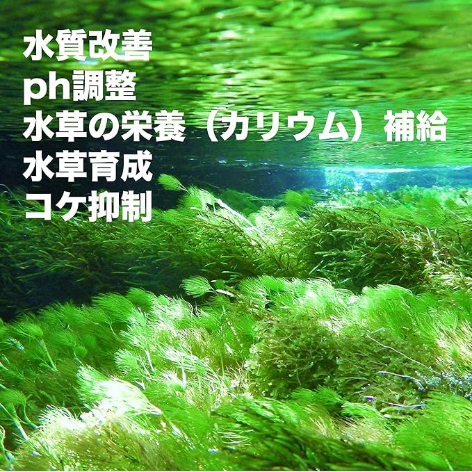 Amazon O O オーオー アクアリウム水草栄養剤 炭酸カリウム 化学式k2co3 水質改善植物必須栄養素 50g 旭硝子 生体水草 通販