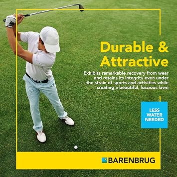 Barenbrug Turf Blue Healthy Grass Technology Lawn Seed Blend with Yellow Jacket Seed Coating, Heavy-Traffic HGT Grass Seed Mix for All Climates, 10-lb. Bag