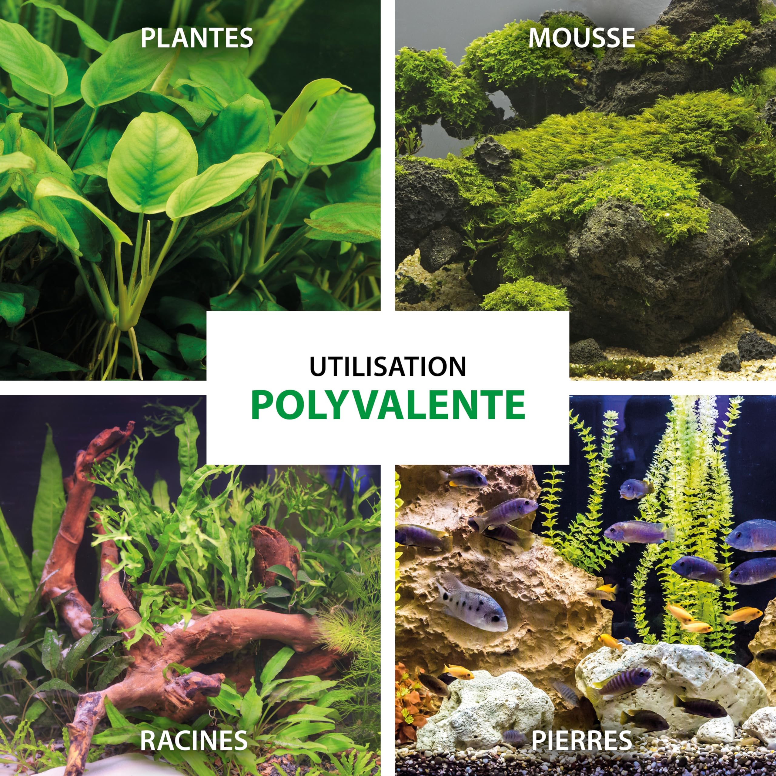 Colle plantes aquarium gel 2×3 g – MICROBE-LIFT Plantscaper – colle aquascaping pour mousse & racines – application simple & propre – sûre pour poissons & crevettes – format mini pour bacs plantés