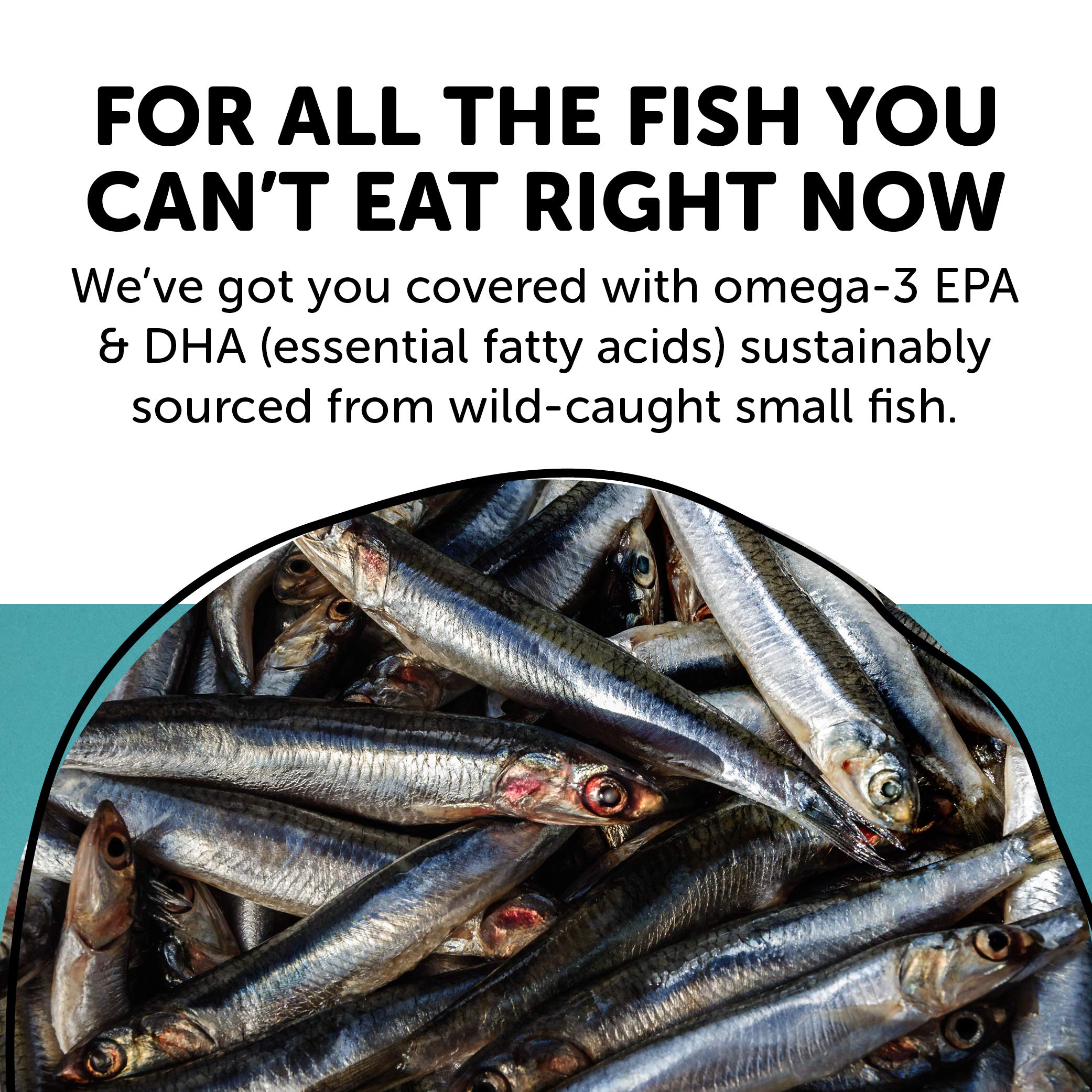 SmartyPants Prenatal Complete Daily Gummy Vitamins Gluten Free