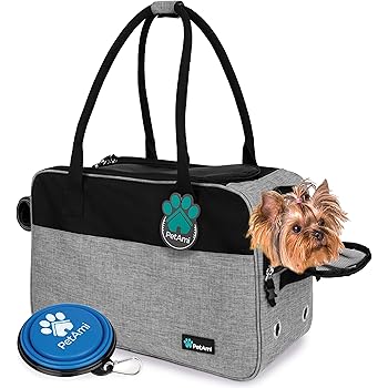 kitten carrier purse