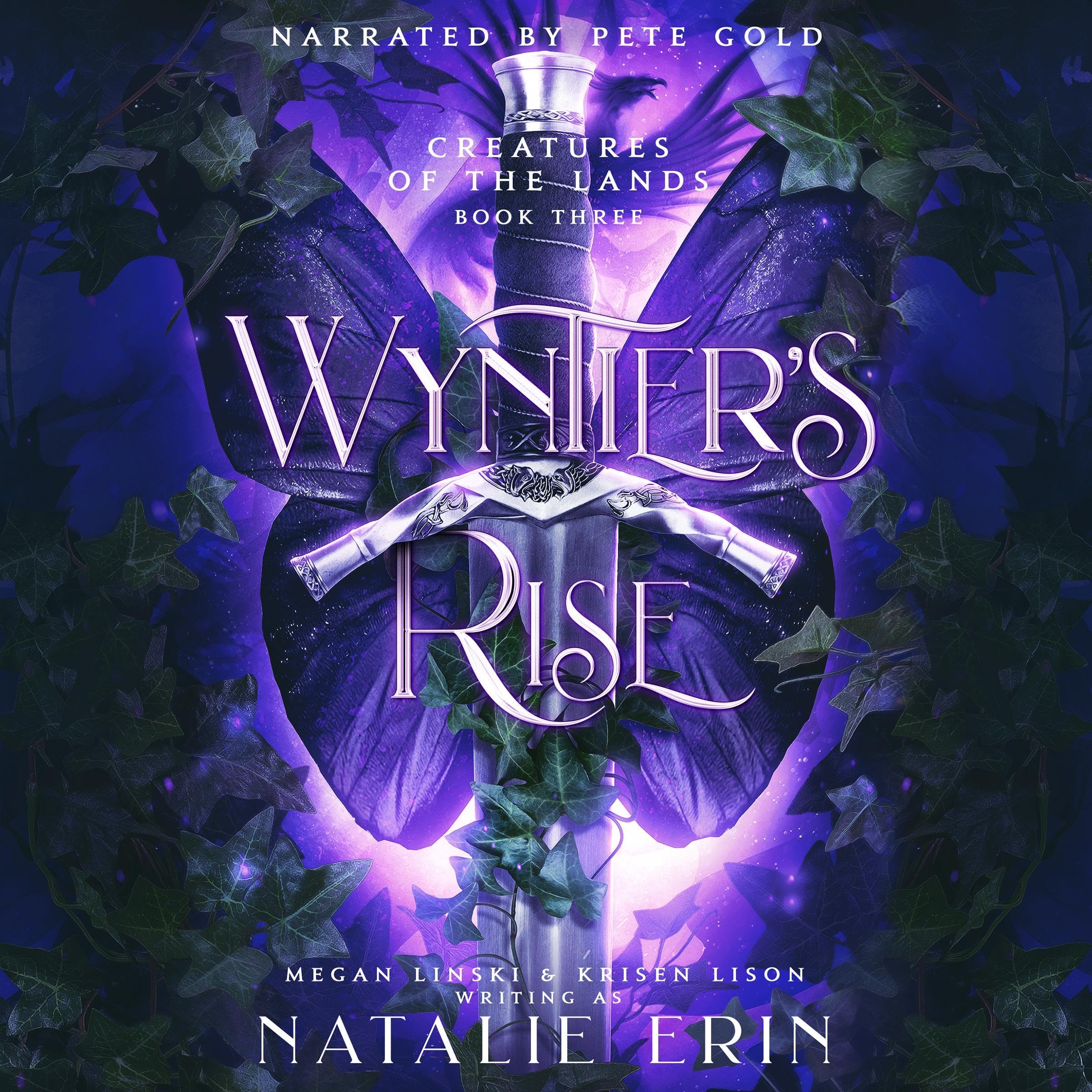 Cover art for Wyntier's Rise
