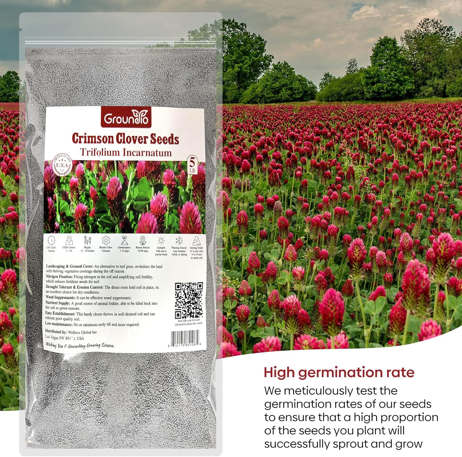 Groundio Crimson Clover Seeds, 5 lbs, Annual Red Clover Seeds for Lawn Alternative, Attracts Pollinators, Nitrocoated and Inoculated(Trifolium incarn)