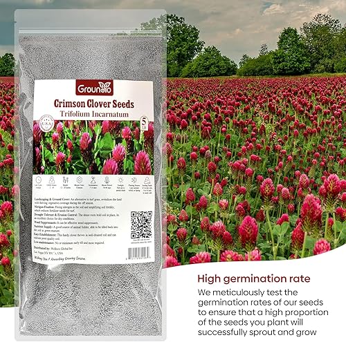 Miniatura 6 de Semillas de trébol carmesí, 5 libras, semillas anuales de trébol rojo para césped alternativo, atraen polinizadores, semillas nitrorevestidas e