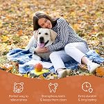 Wildfang® Tree Heather Root for Dogs, L – Splinter-Free Chewing Root, Natural Wood Chew Toy for Aggressive Chewers, Odourless Dog Chew Toy for Healthy Teeth & Gums (for Dogs 25–45 kg), Pack of 1