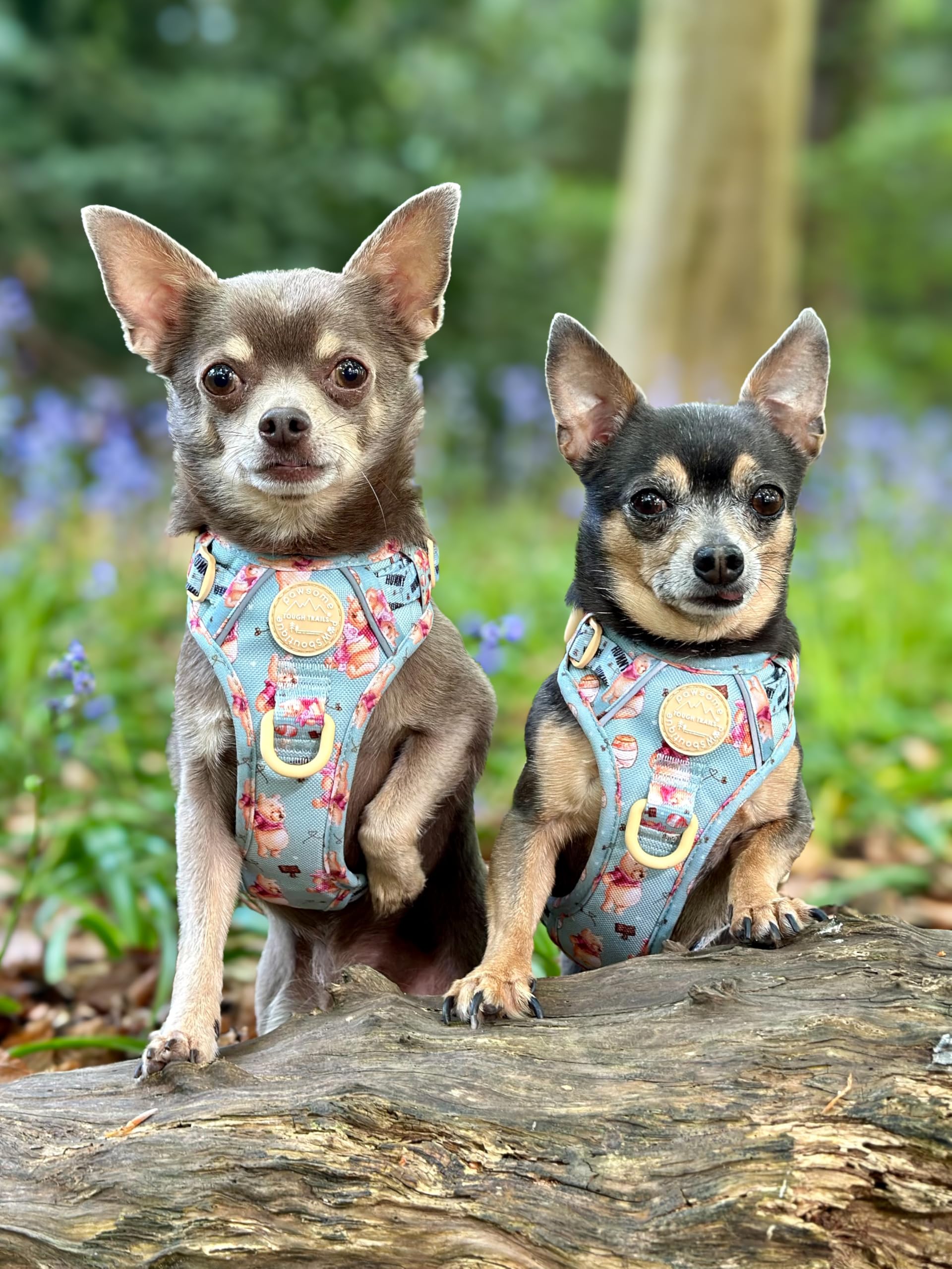 Pawsome Paws Boutique Pettorina per cani Winnie the Pooh, extra piccola, resistente, design Disney, regolabile, anti-tiro, con finiture riflettenti e fibbia robusta