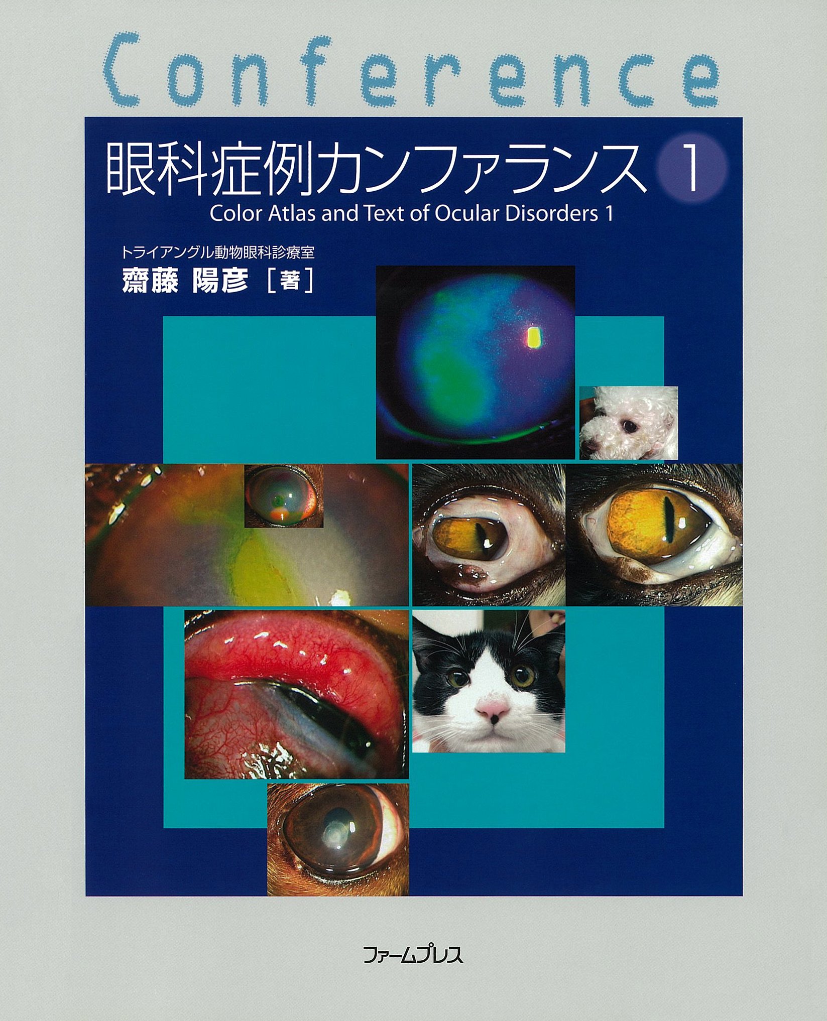 眼科症例カンファランス　１／齋藤陽彦(著者) 91VDoEEYW6L.jpg