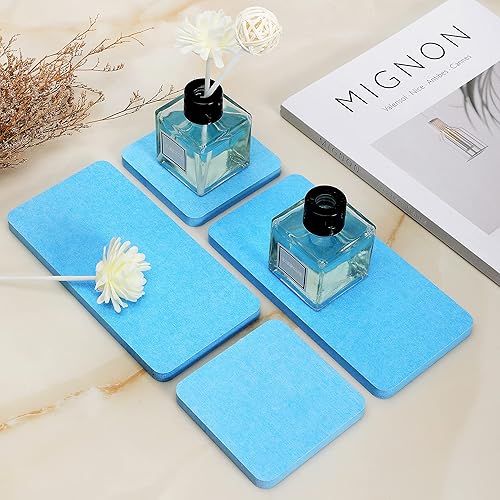 4 bandejas de jabón de cocina de tierra de diatomeas, posavasos de diatomita absorbentes de agua, piedra absorbente de agua utilizada para jabón de