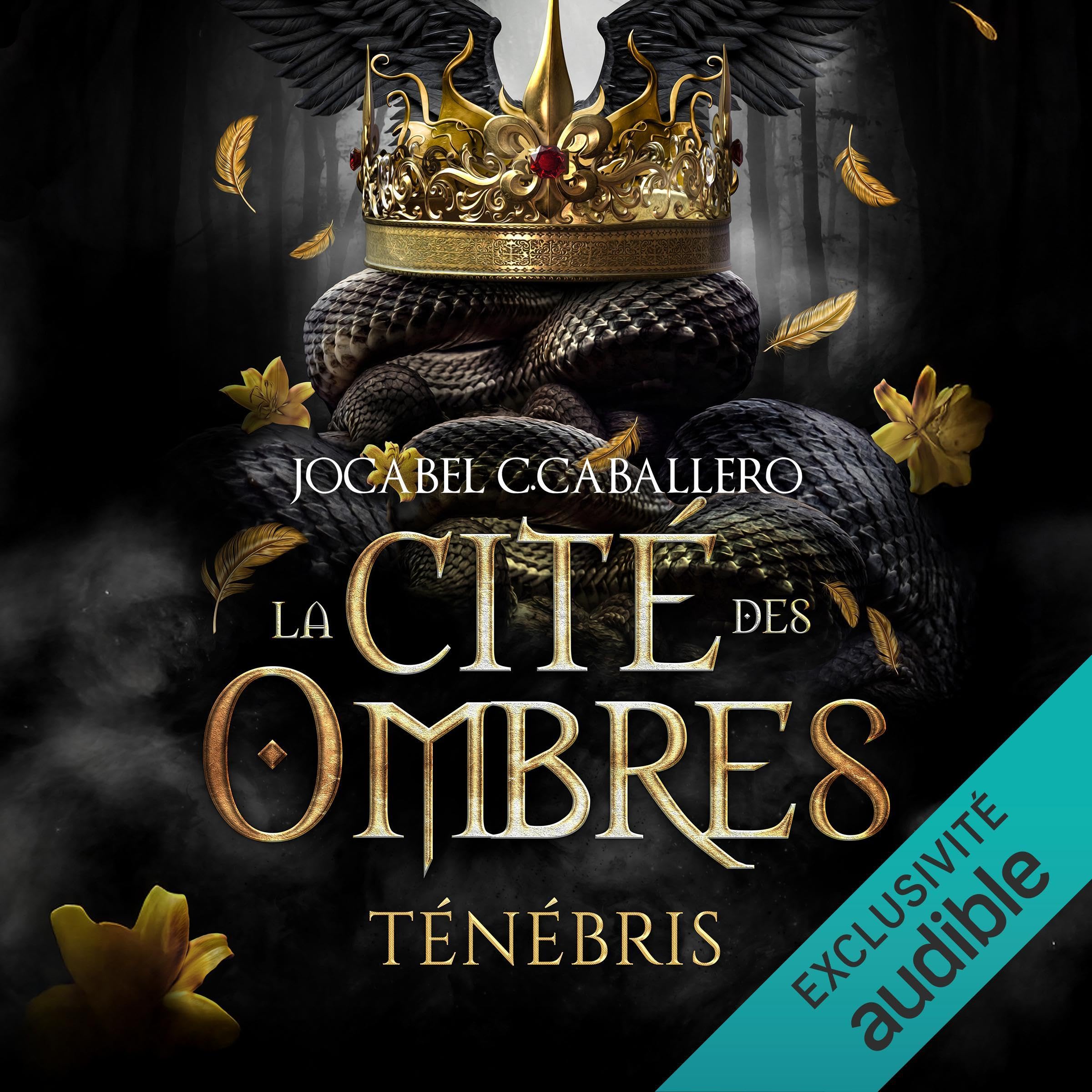 Cover art for La Cité des Ombres