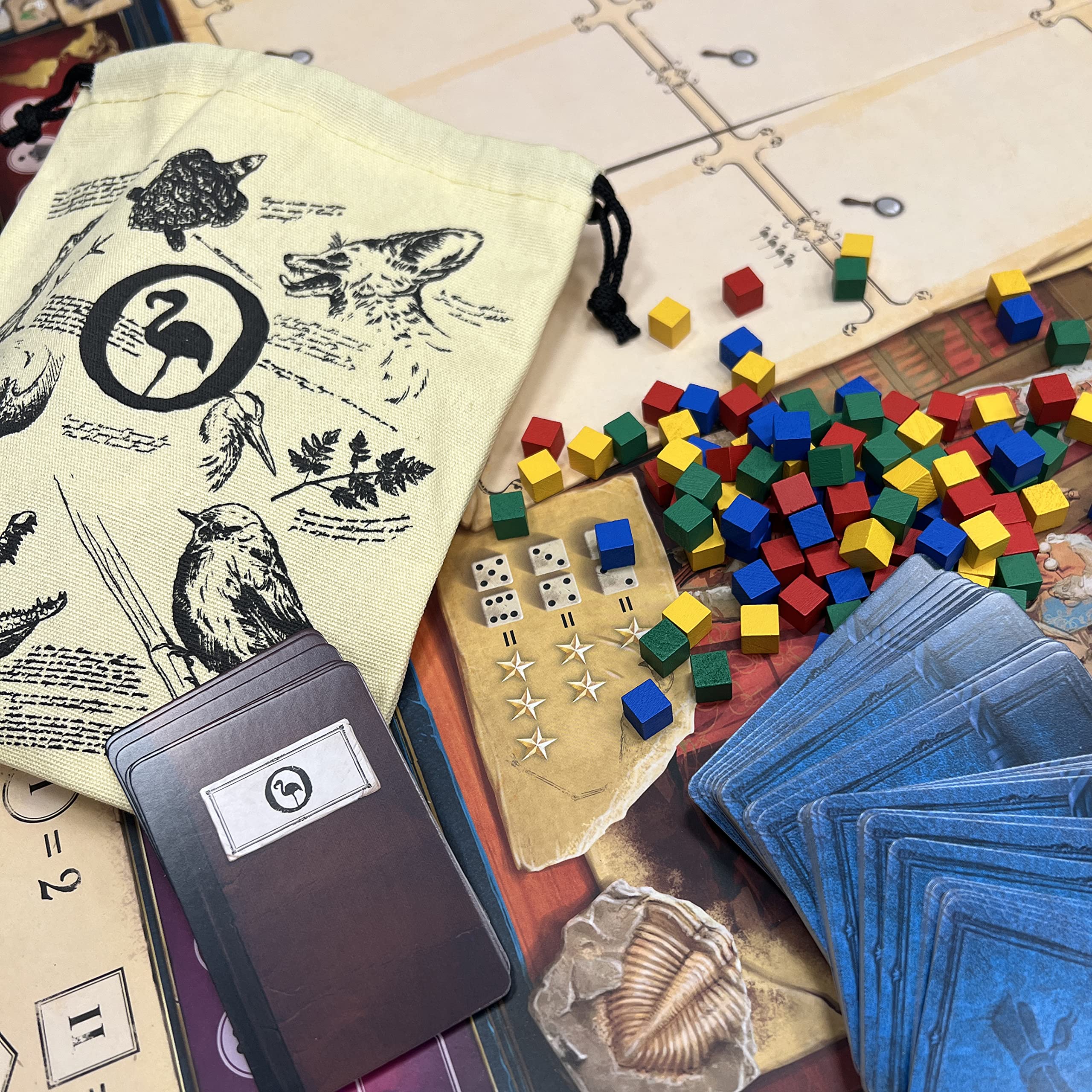 Asmodee - Encyclopedia - Gioco da Tavolo, 2-4 Giocatori, 14+ Anni, Edizione in Italiano