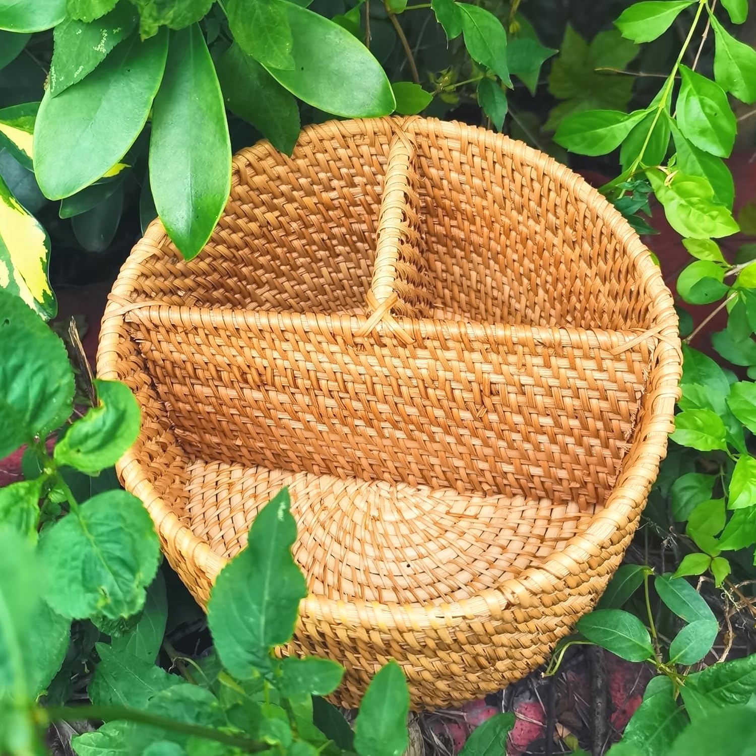 i-lan Natural Rattan 3 Compartments Storage Holder Cosmetics Organizer Utensil and Seasoning Bottle Serving Basket for Party(200mm 3-compartment Round Box)