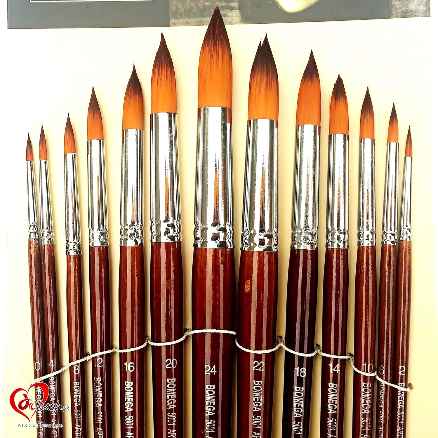 Asint Round Best Artist Paint Brush Set (13 Brushes) for Acrylic