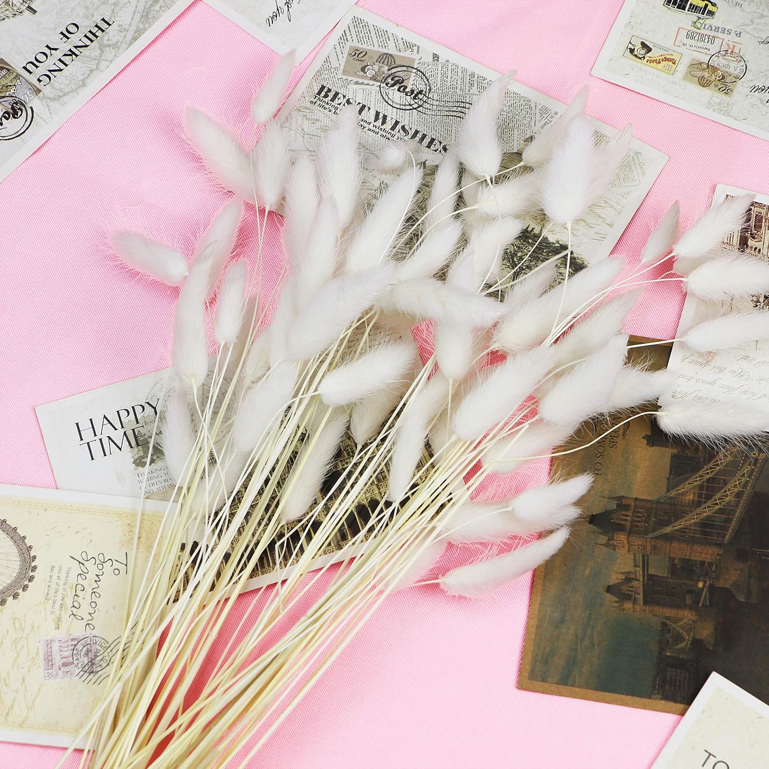 60 Stems Natural Dried Lagurus Ovatus Flowers |Real Bouquet with Rabbit Tail Dried Pampas Flowers | Decoration for Photography Hotel Home & Wedding Décor Floral Arrangements (White) | 45cm Large