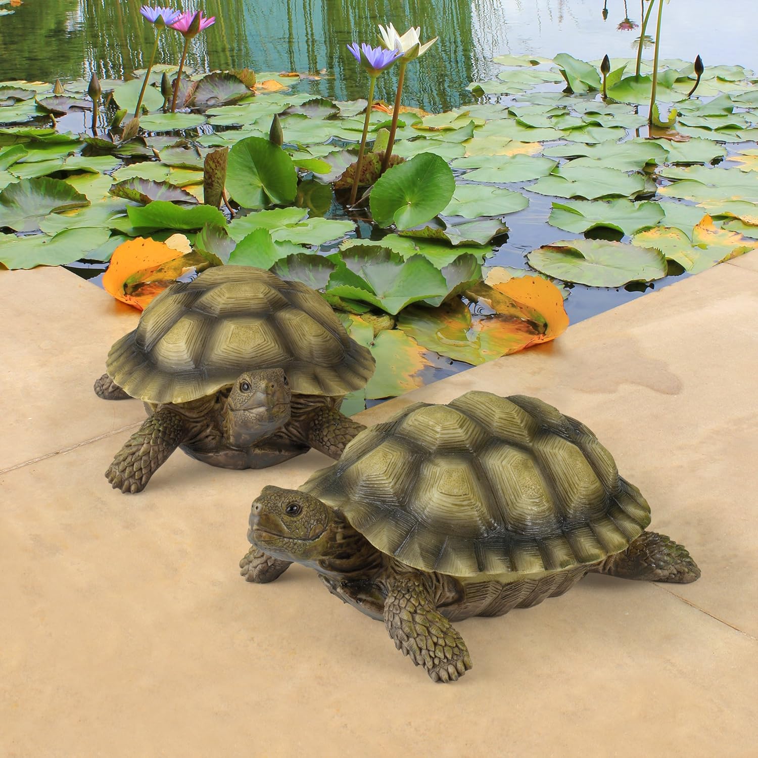 Design Toscano Gilbert the Box Turtle Garden Decor Animal Statue, 9 Inch, Set of Two, Polyresin, Full Color : Patio, Lawn & Garden