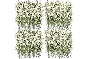 Ivory Baby's Breath Dried Flower Bulk – 200 Pcs Natural Gypsophila