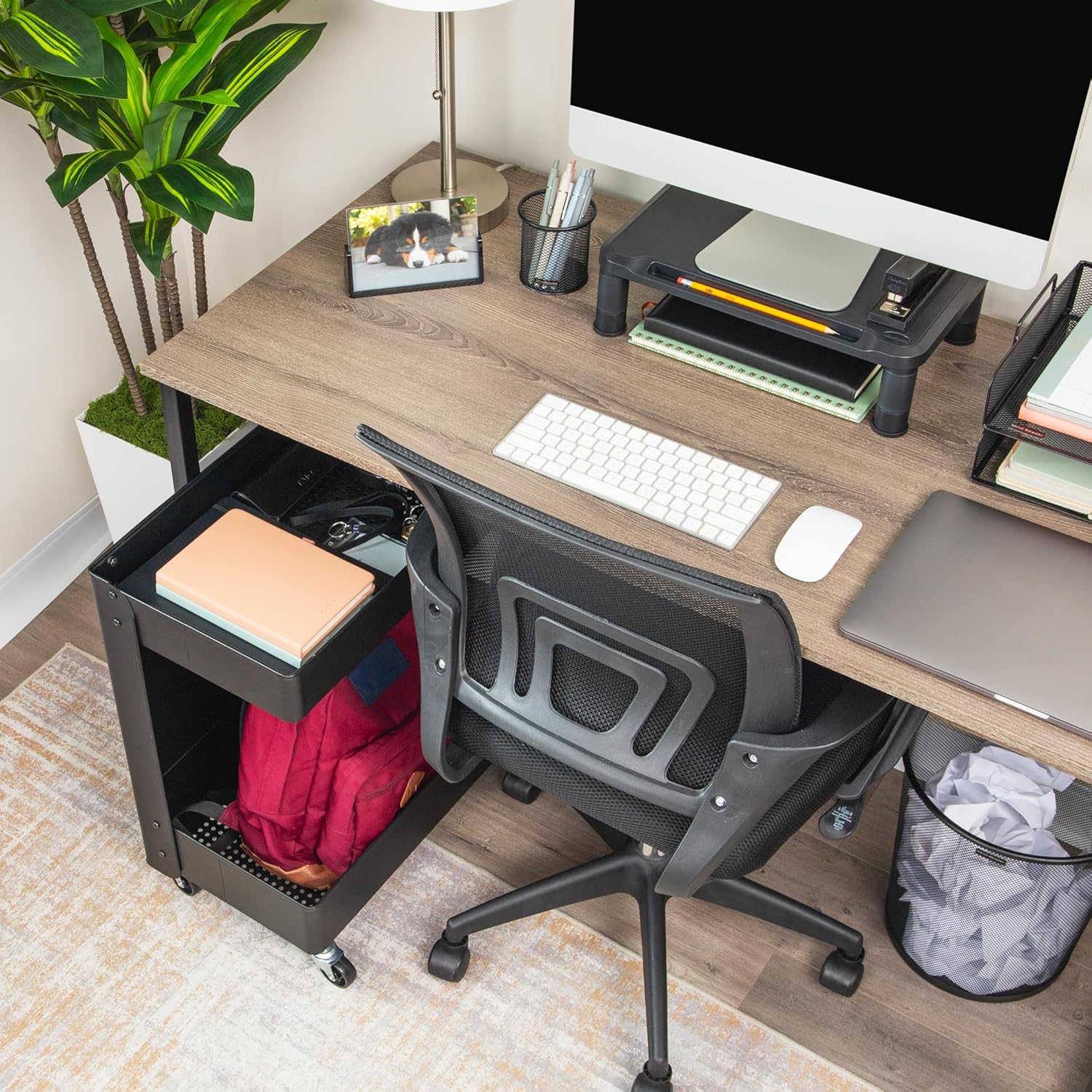 Mind Reader Under Desk Rolling Cart, 2-Tier Steel Utility Organizer, No Assembly Required, 12" L x 20" W x 23.5" H, Black