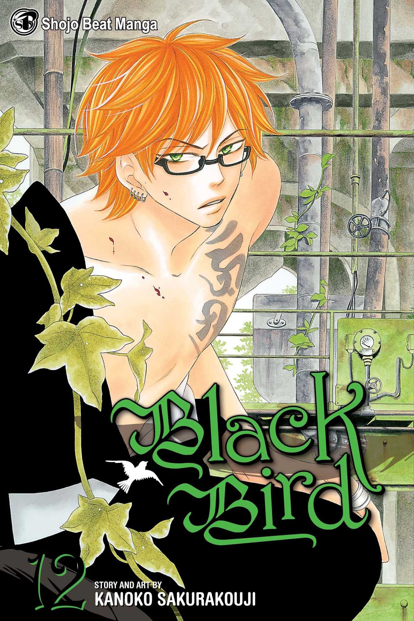 Black Bird 12.by Sakurakoji  New 9781421540528 Fast Free Shipping**