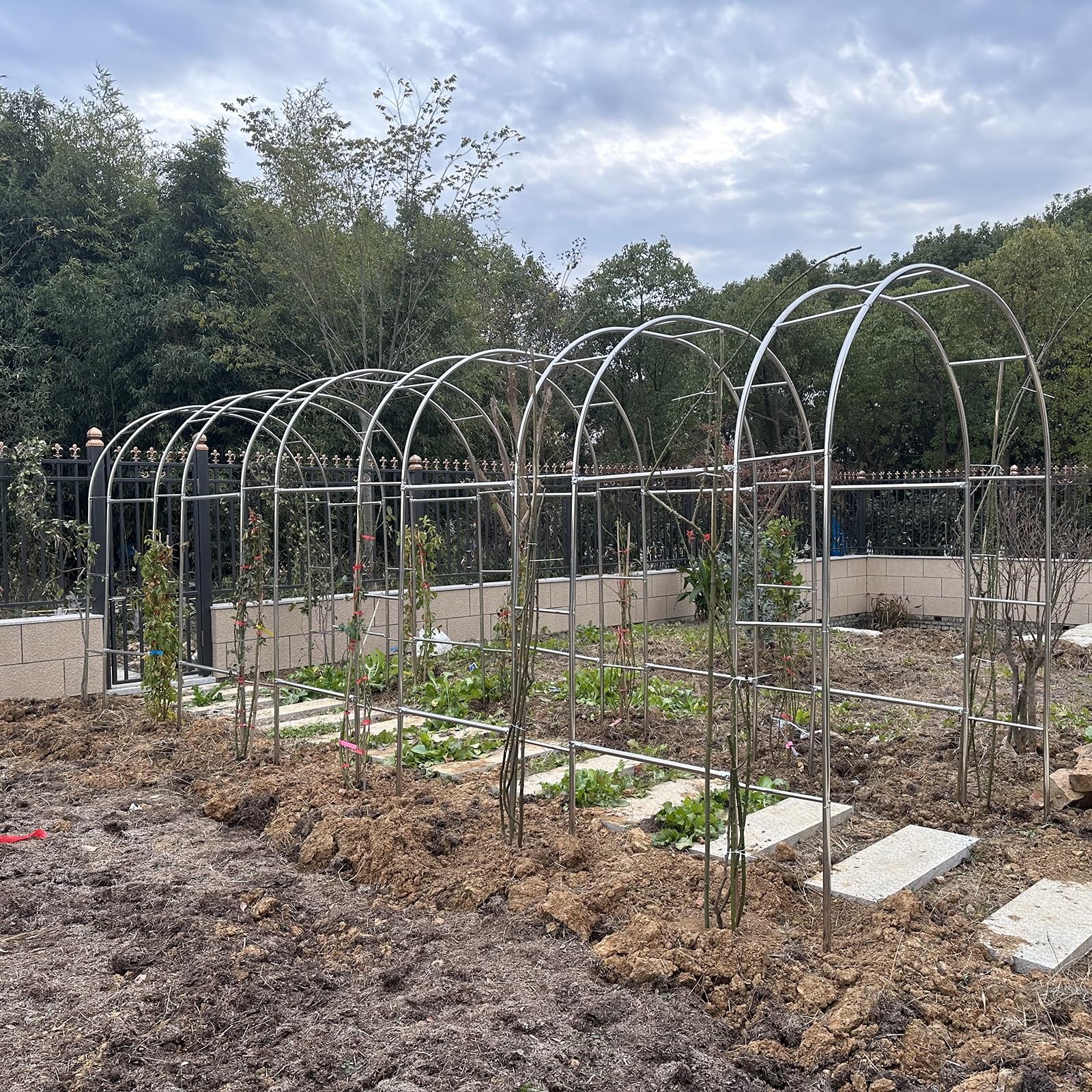 Generisch Pergola ogrodowa, łuk ogrodowy ze stali nierdzewnej – wytrzymała, odporna na warunki atmosferyczne kratka dla roślin pnących, róż i warzyw – 230/240 cm, łuk podporowy do użytku wewnątrz i na