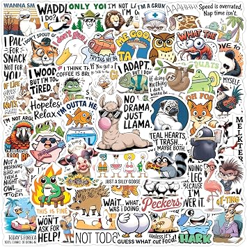 50 pcs Cute Scrapbook Fanny Vinyl Stickers Sticker Pack for Adult Girls Scrapbooking Kindle Laptop Journal Suitcase Guitar Phone Water Bottle