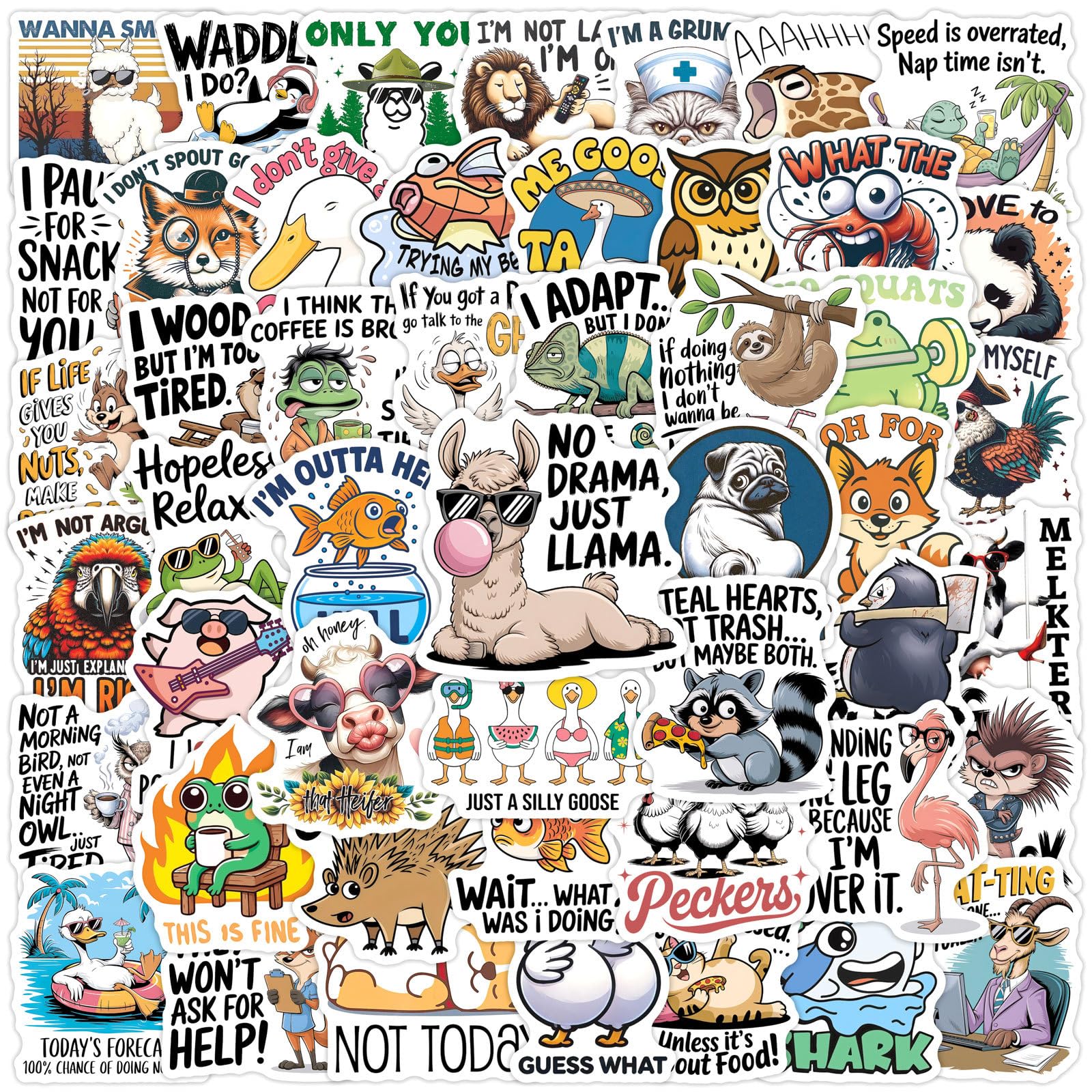 50Pcs Sarcastic Animal Stickers Funny Quote Vinyl Decals for Laptops Skateboards Luggage Helmets Bikes and Phones Fans Lovers and Humorous Vibe Enthusiasts