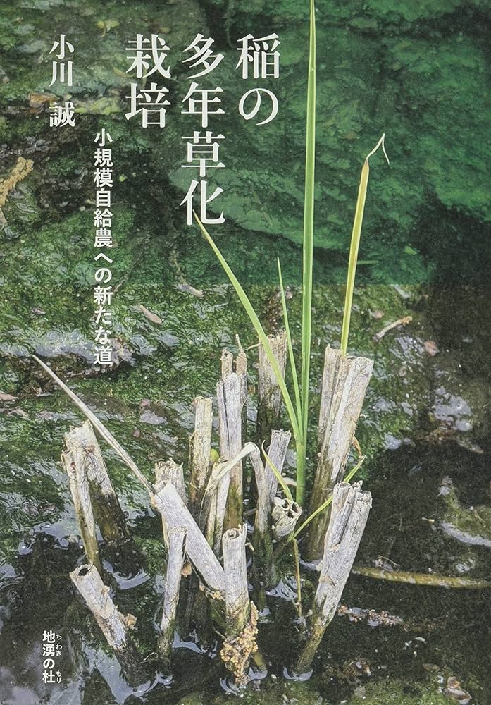 稲の多年草化栽培 | 小川誠 |本 | 通販 | Amazon
