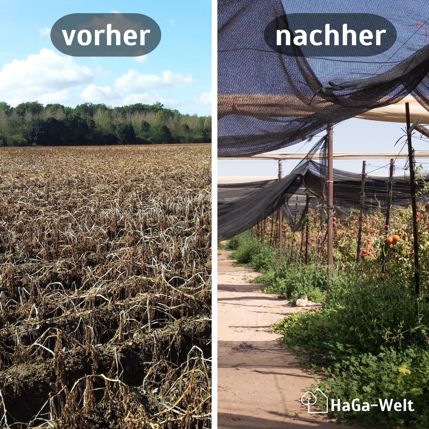 HaGa Schattiernetz 2m x 5m mit 60% Schattierwirkung – Hitzeschutz & Sonnenschutz für Pflanzen – Balkon Sichtschutz & Terrassen Sonnensegel – Wetterfest & Temperaturbeständig, vielseitig zuschneidbar