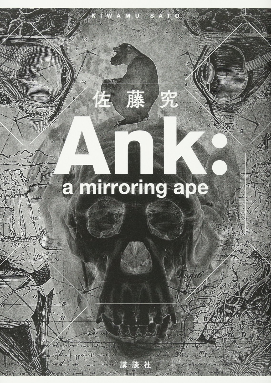 �������wAnk: a mirroring ape�x�i�u�k�Ёj