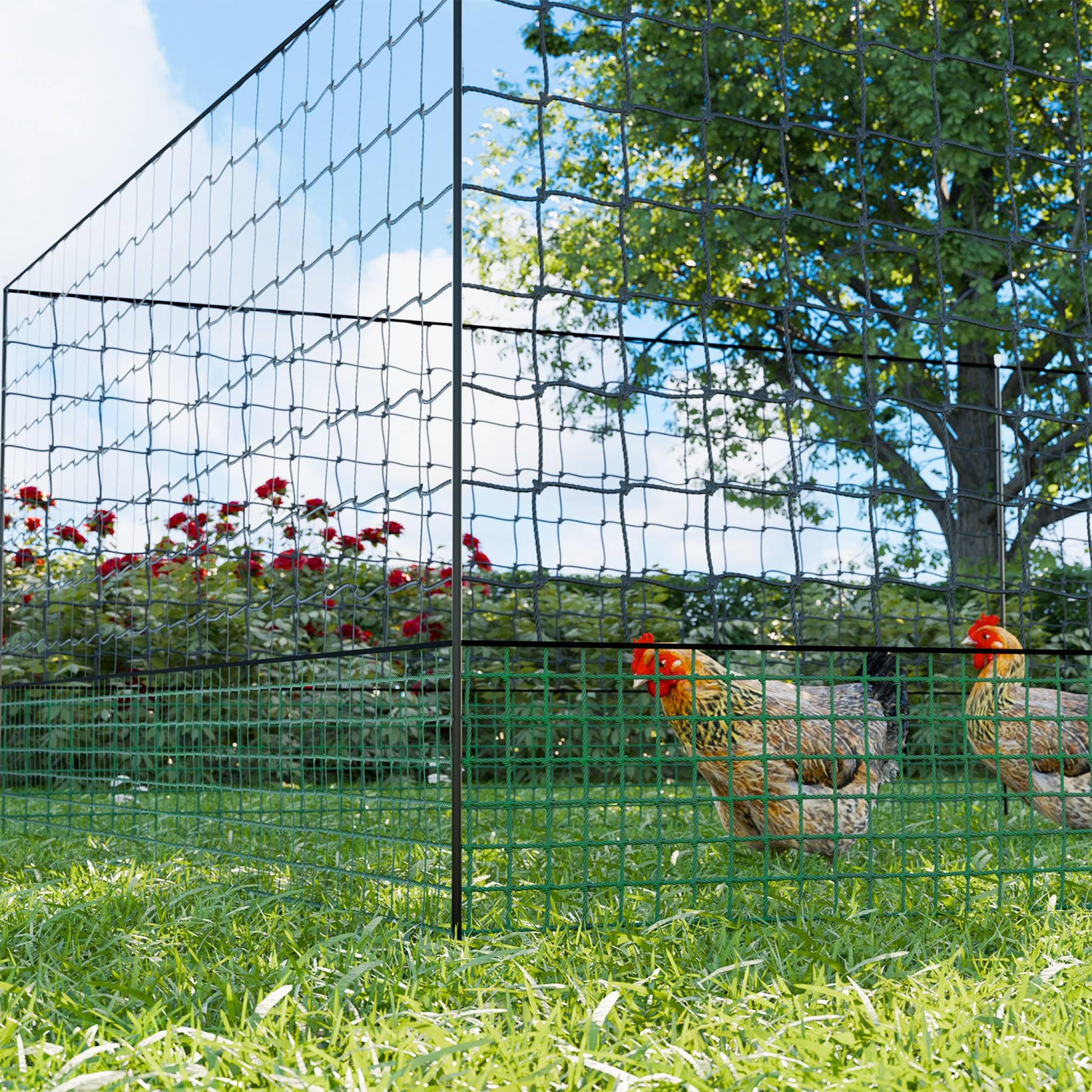 Alice's Garden - Kit Filet clôtures pour Poules 24m avec 8 piquets Double Pointes. modulable. Porte d'accès. Sardines incluses