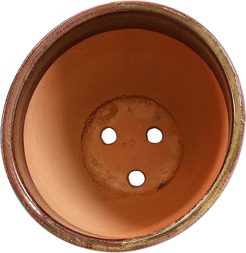 Miniatura 7 de Sunnydaze Resort - Maceta de cerámica para interiores y exteriores, resistente a los rayos UV y a las heladas, acabado esmaltado verde lago bosque,