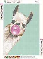 Vista 4 de Peeua Kits de pintura de diamantes 5D para adultos y niños, arte de diamantes de alpaca, arte de bricolaje, bordado de punto de cruz, manualidades