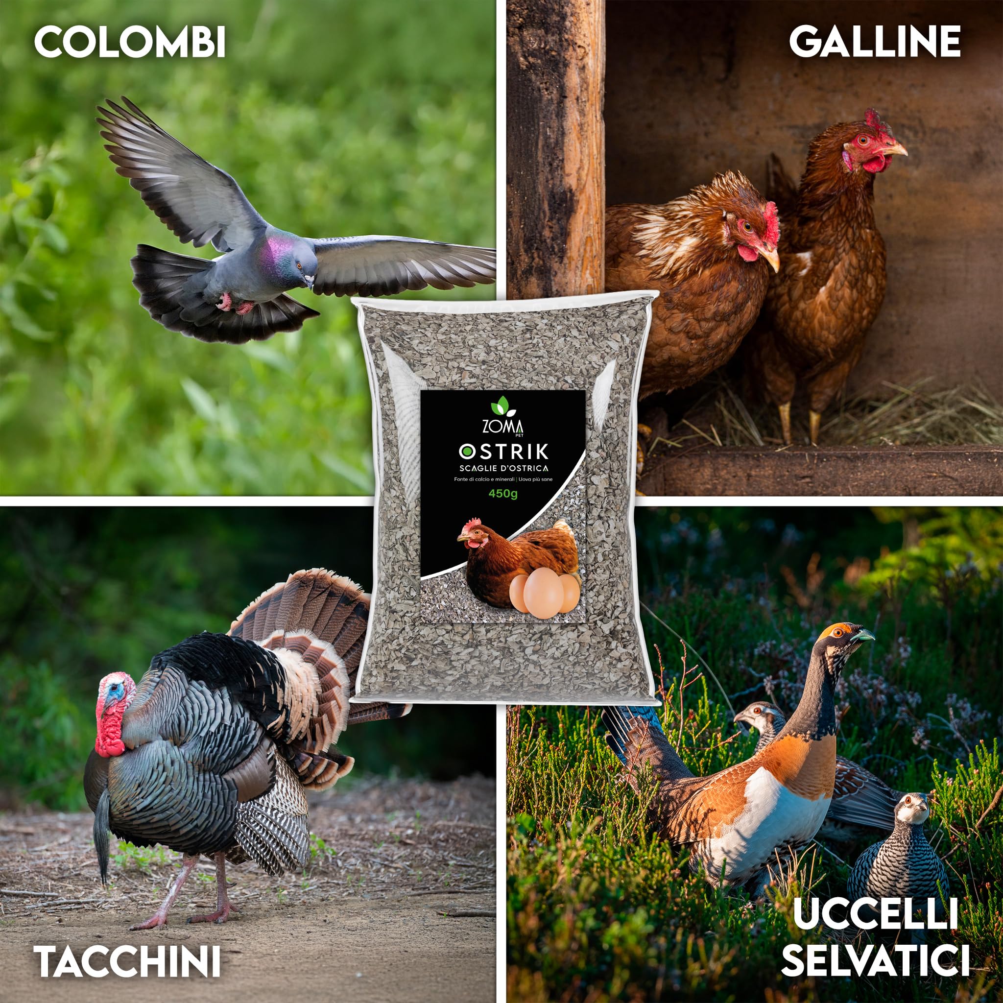 ZOMAPET OSTRIK Mangime Galline Ovaiole a base di scaglie d’ostrica 3/5mm 450gr, Grit per galline ovaiole specifico per uova più sane, mangime uccelli selvatici - Made in Italy