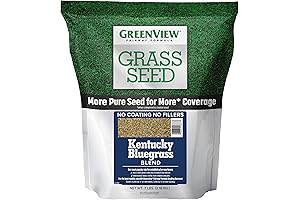 GreenView Fairway Formula Kentucky Bluegrass
