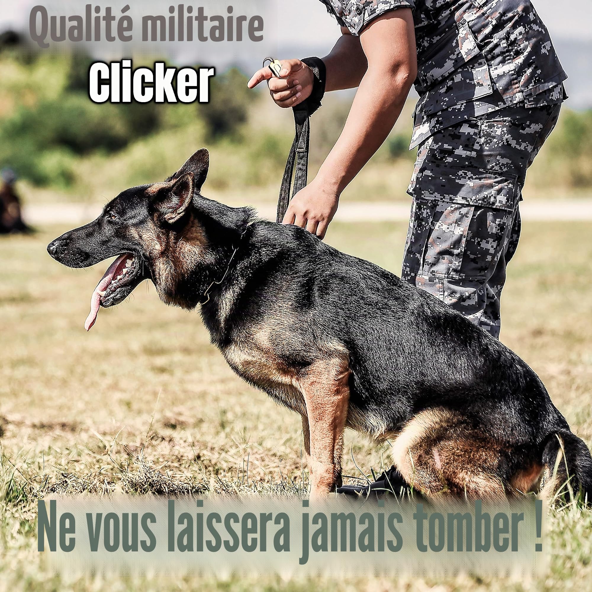 Mythrojan Brass and Steel Pet Training Clicker Puppy Dog Training Dog Clicker Cricket Clicker U.S. Engraved WII Military Gear Metal Clicker