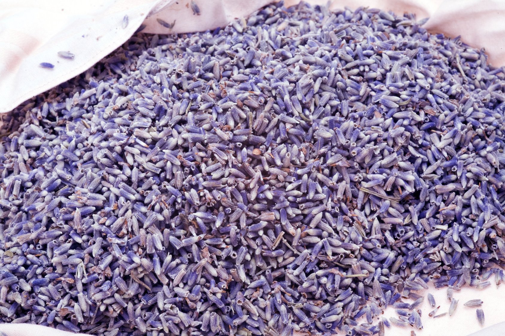 10 kg Lavendelblüten - Kochen | Duft | Räucherware | Duftintensiv | getrocknet | Lavendel Blüten | Ohne Zusätze