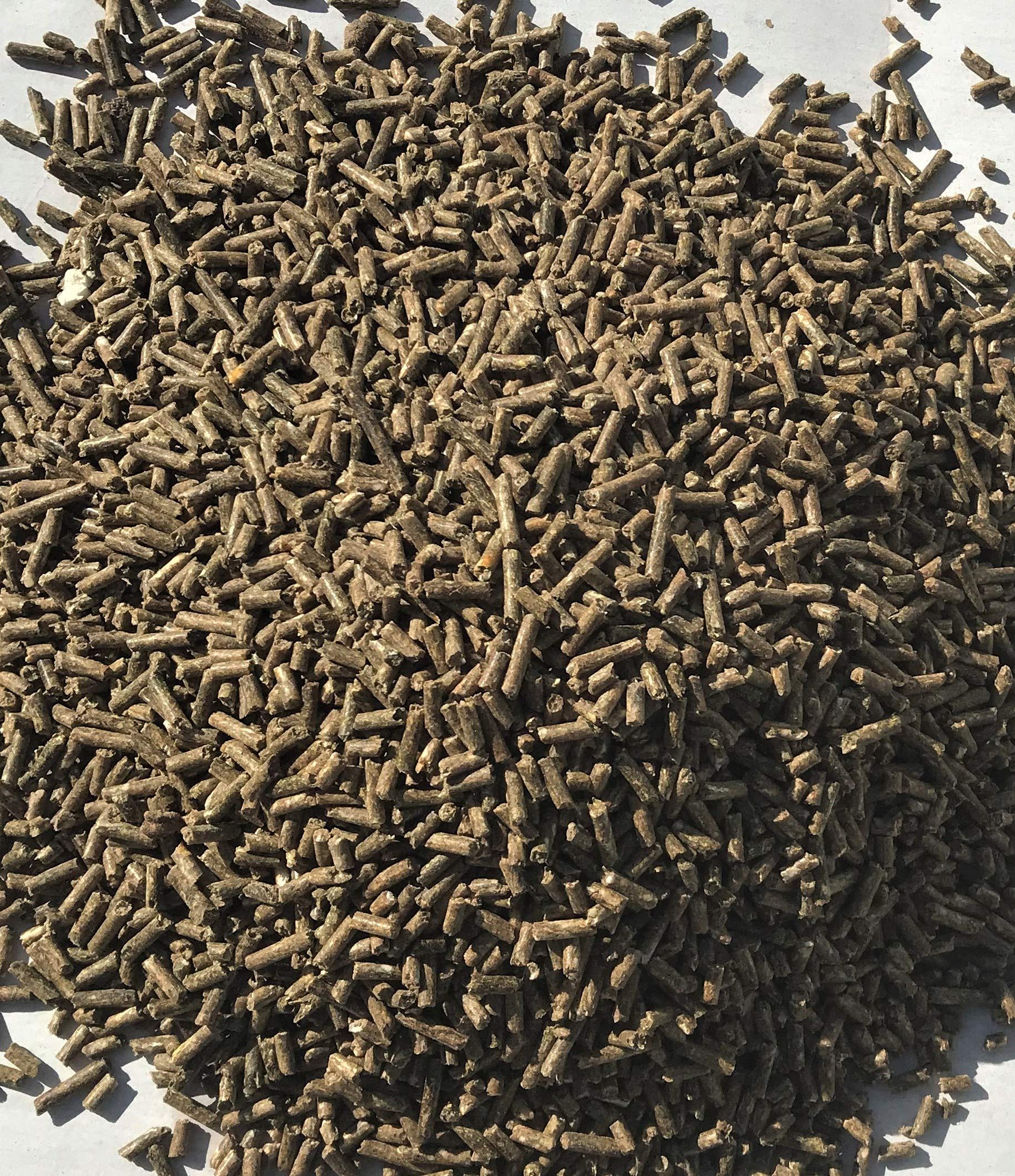 All Natural Mini-Pelleted Layer Feed Freshly Milled for Hens and Bantams: Non-GMO,Soy Free, Corn Free, with Organic Fertrell Vitamins and Minerals (20lb)