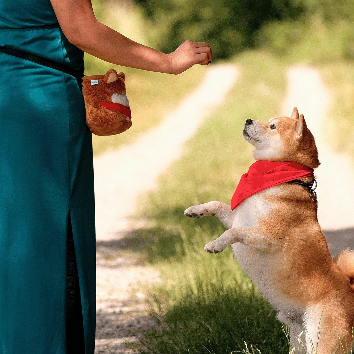 Wildy Dog Treat Pouch, Dog Treat Bag, Easily Carries Pet Toys Kibble Treats, Poop Bag Dispenser, Ideal for Puppy Training, Suitable for Adults and Kids