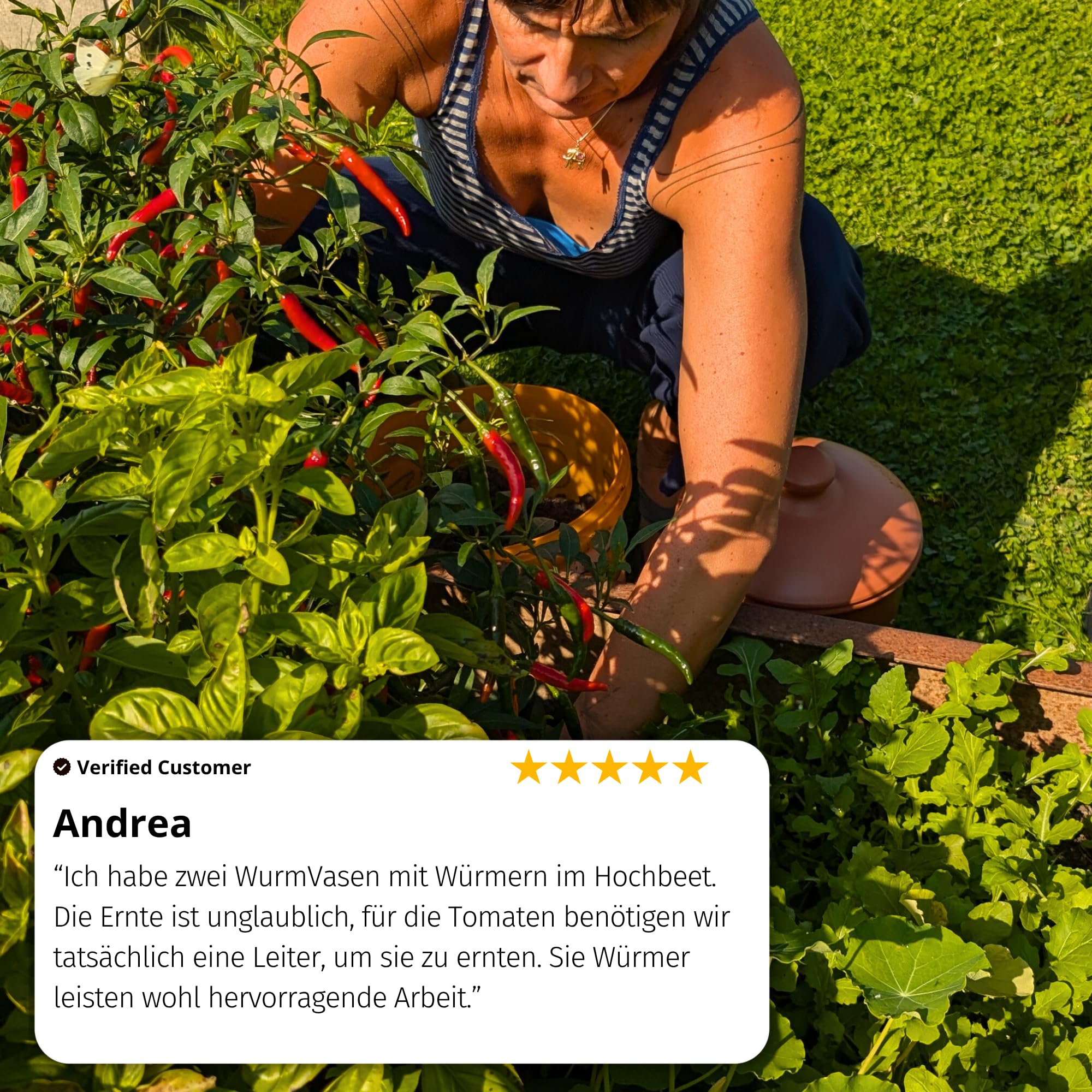 5L Wurmvase aus Ton | Beetkomposter Starterset inkl. 250 Kompostwürmer