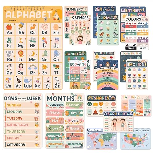 jackinthebox 20 carteles educativos  Decoraciones de escuela en casa  Decoración de pared preescolar para niños pequeños  Suministros escolares de