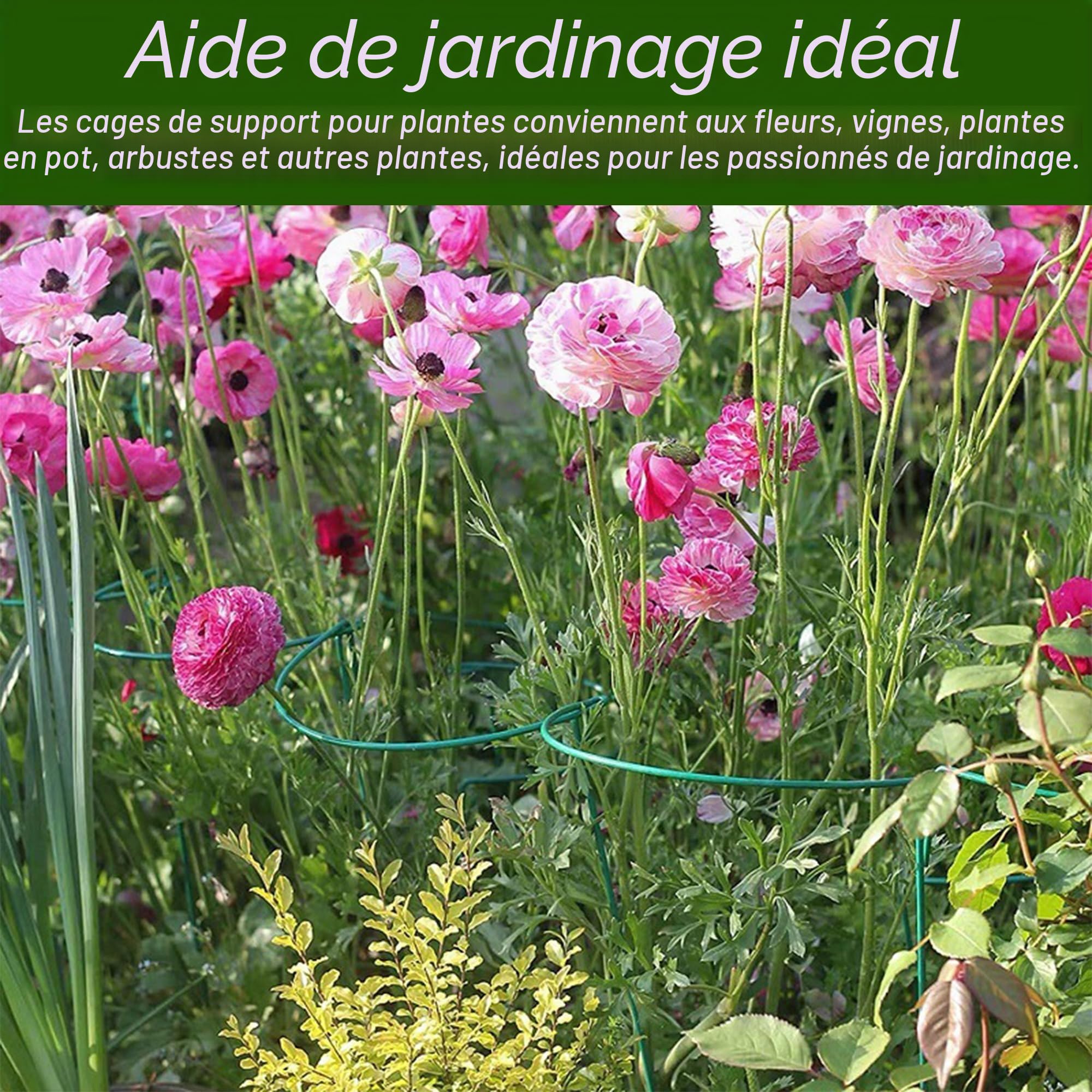 Lot de 10 supports de plantes semi-circulaires en métal - 40 x 25 cm - Support pour plantes en pot, fleurs, légumes