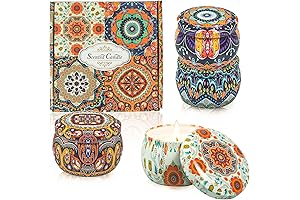 TEECOO Velas Aromaticas Decorativas: Paquete de 4 Velas Aromaticas de Cera de Soja para Aromaterapia