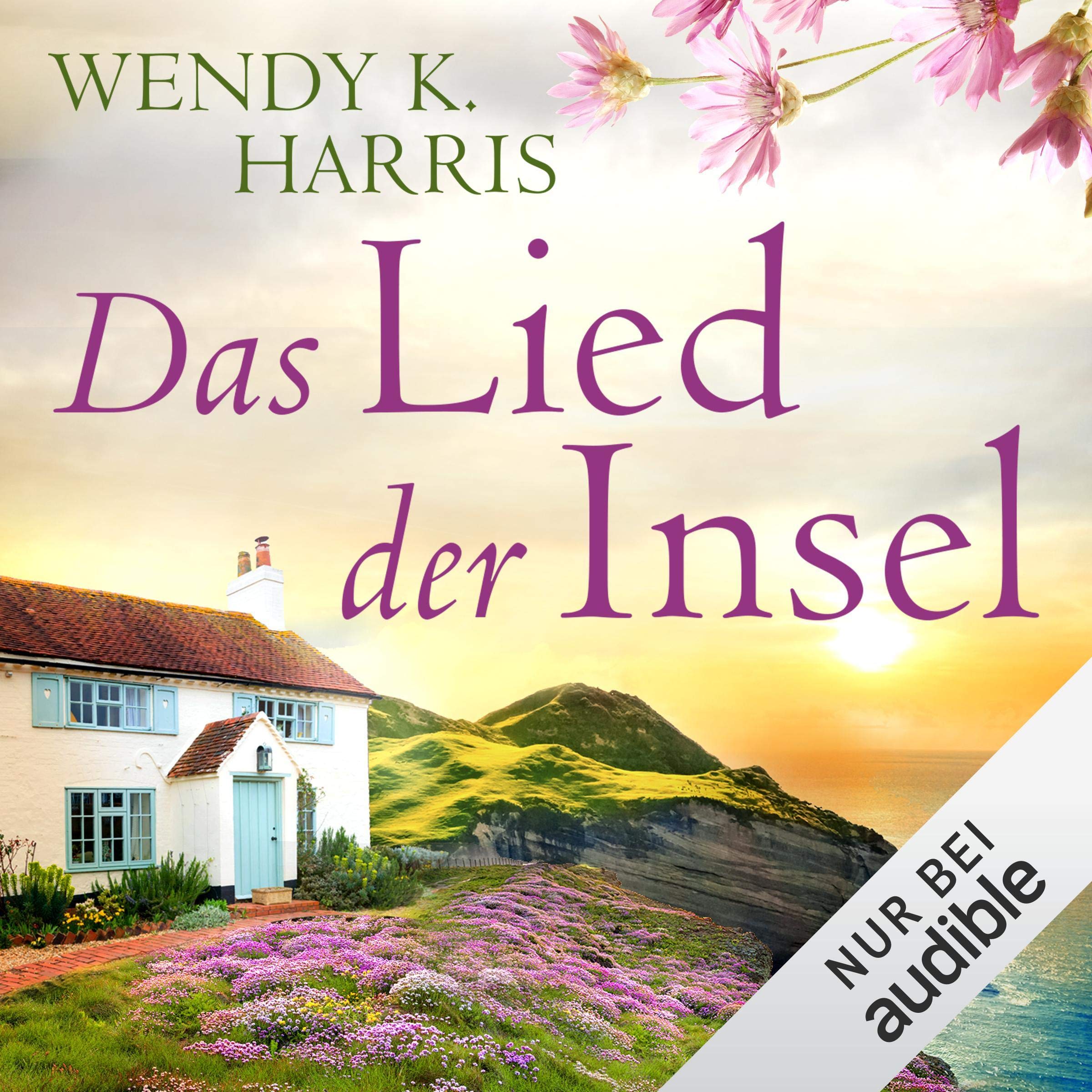 Cover art for Das Lied der Insel