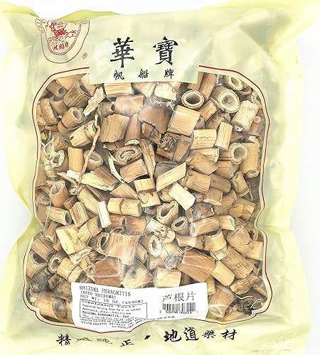 Hierba china natural Greenlike 100% natural rizoma fragmitis caña rizoma Lu Gen