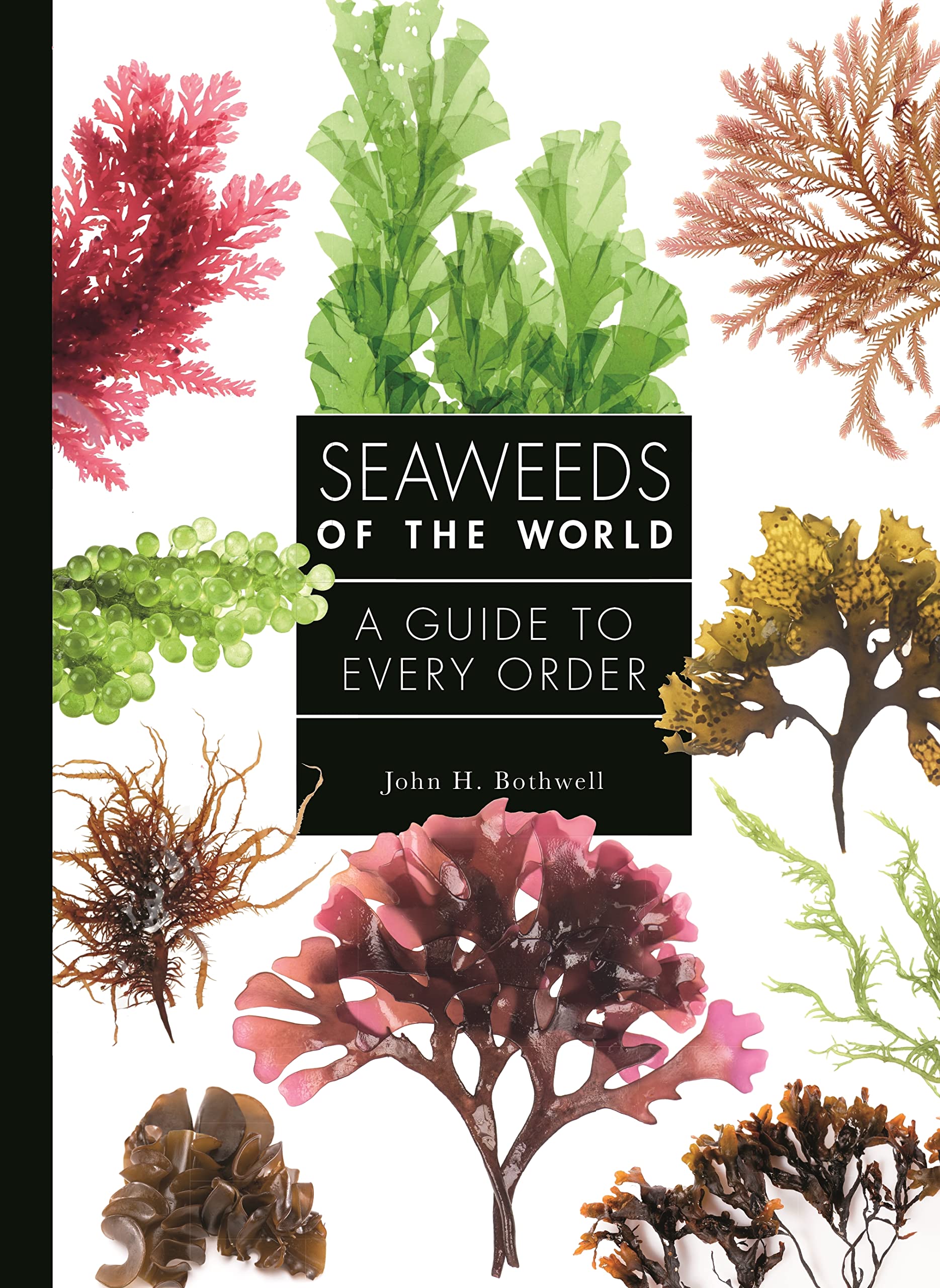 Seaweeds of the World: A Guide to Every Order: 4 (A Guide to Every Family)