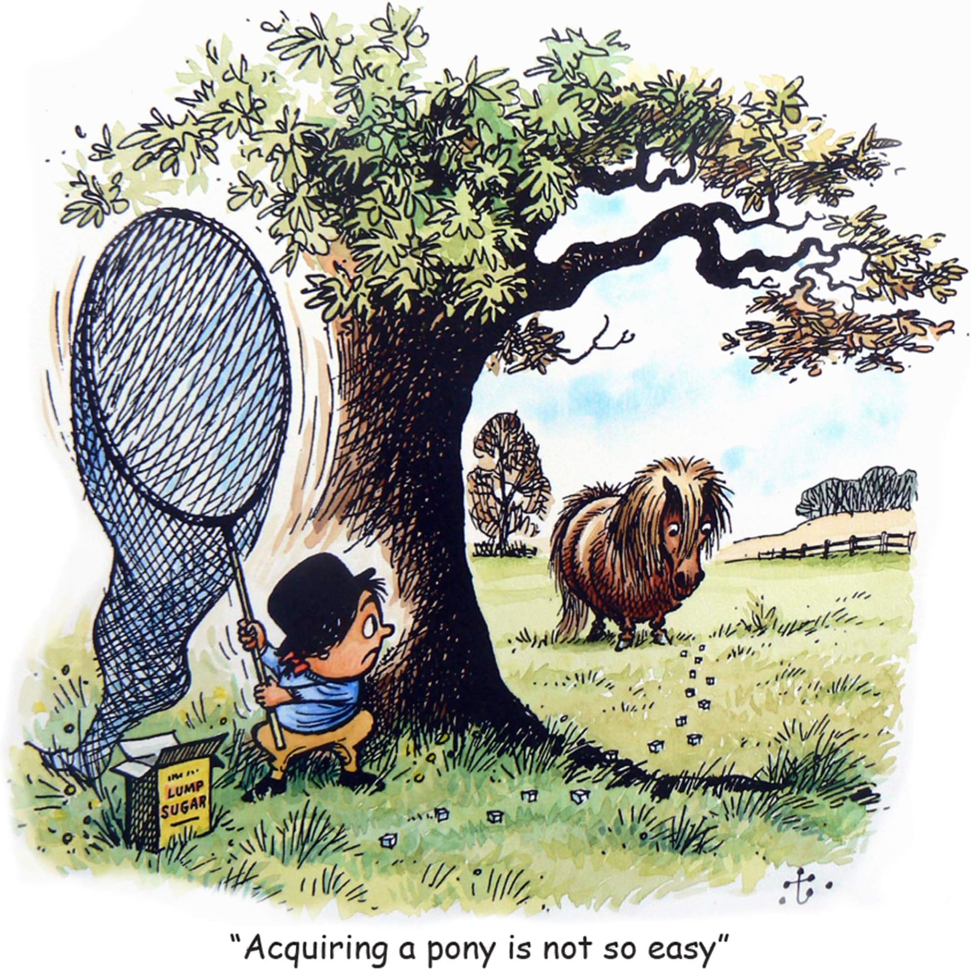 Horse Pony Birthday Card Horses Ponies Greeting Card 147 X 147