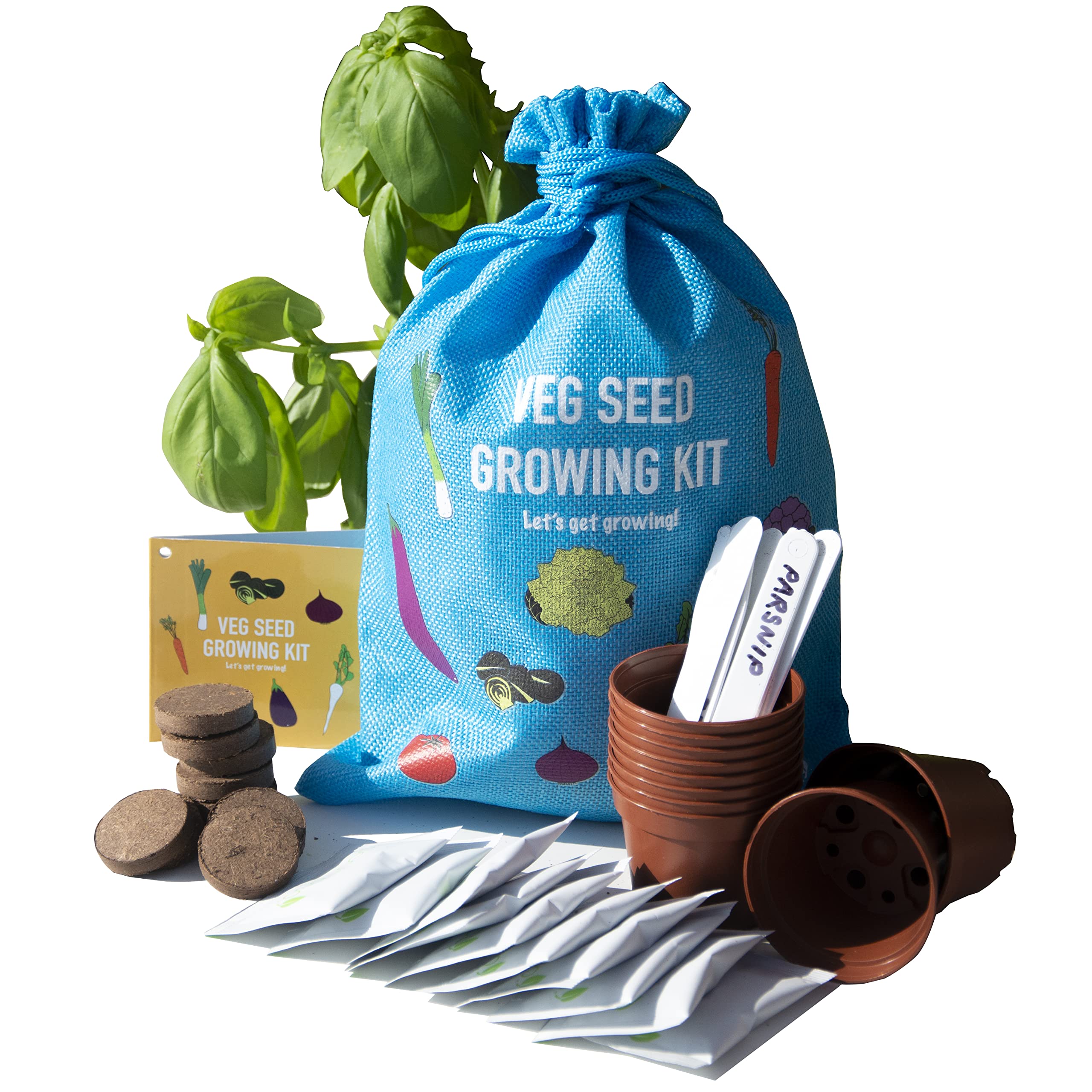 Scott&Co. Vegetable Seed Grow Your Own Kit, 10 Different Veg Seed Varieties, Carrots, Cabbage, Broccoli. Growing Guide, Seeds, Pots, Labels and Compost, Christmas Gifts for Women and Men
