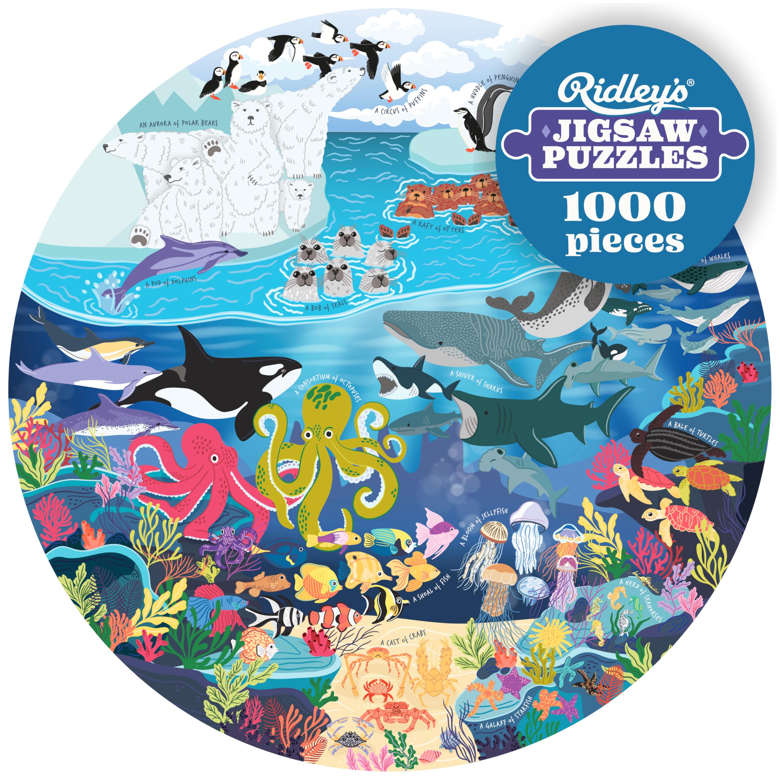Ridley's Games: Ocean Lovers Jigsaw Puzzle- 1000 Piece Puzzle - Great to Display in a Frame - Birthday Gift for Ocean and Beach Lovers - Includes Fun Ocean Facts