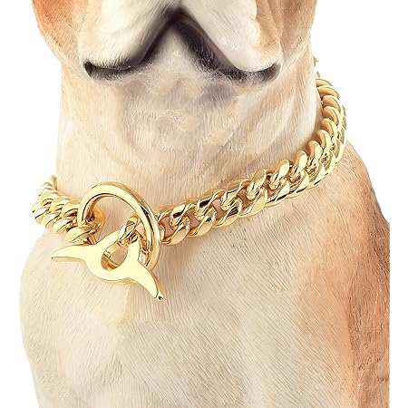 choke chain for labrador