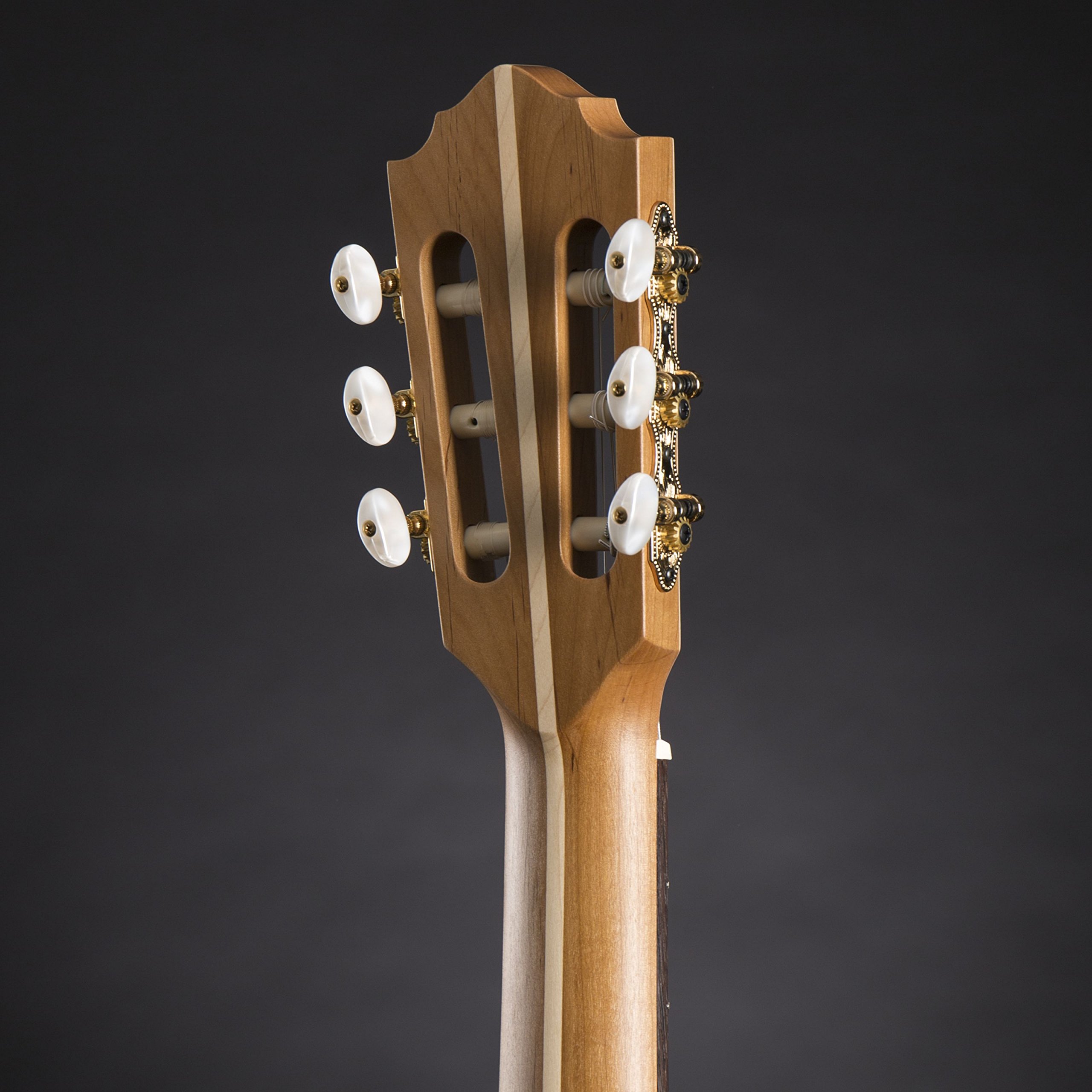 HGL 5 Guitarra de concierto